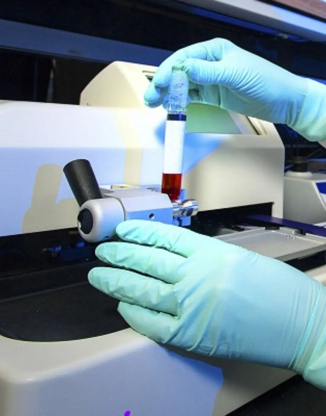 Preparación en laboratorio de células madre