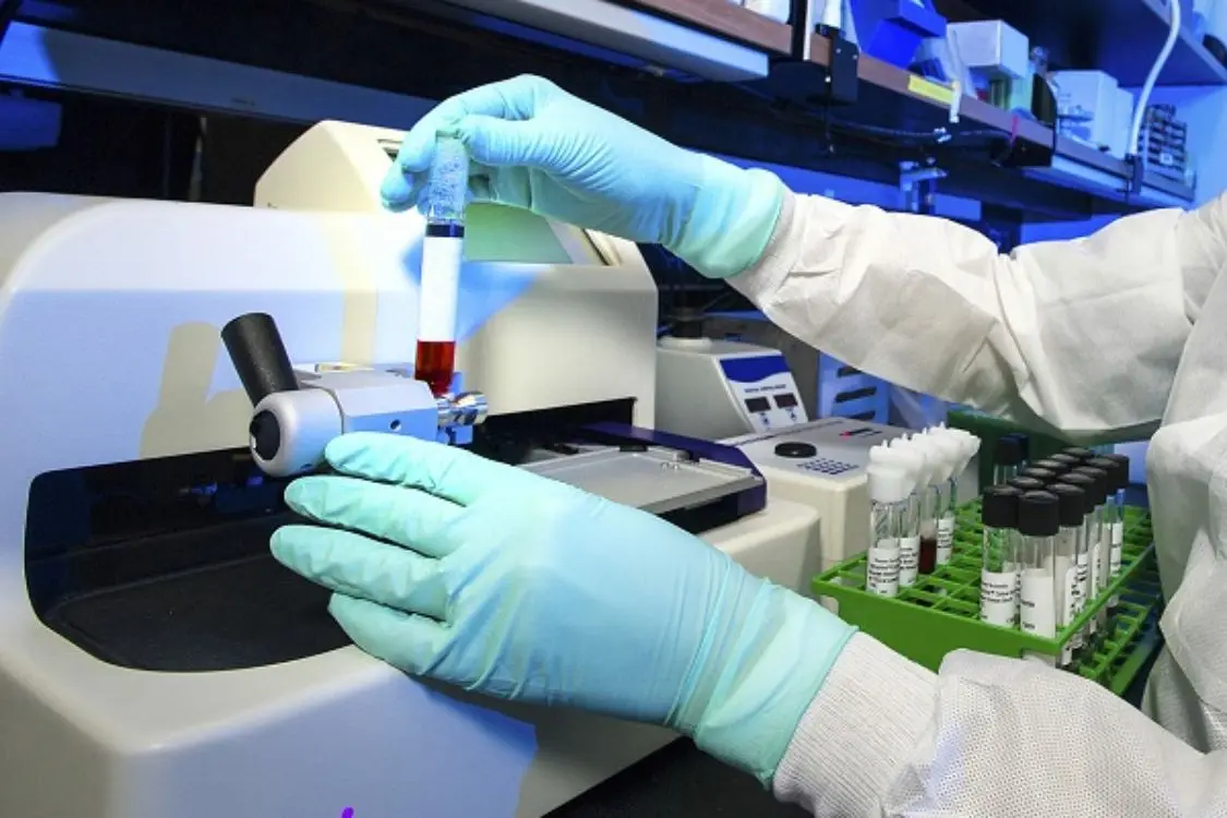 respaldo científico en células madre